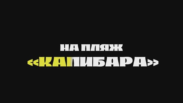 Чем заняться на пляже "Капибара"? Ивановский залив, г. Ульяновск