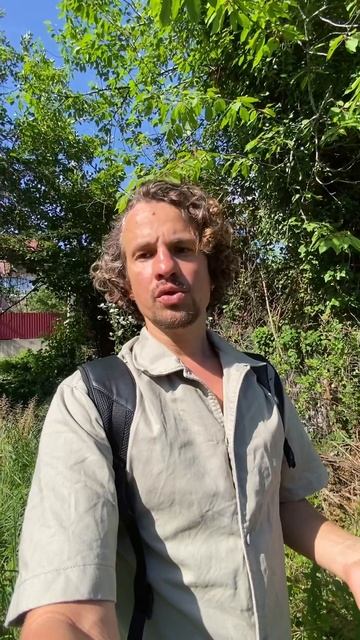УЧАСТОК НА ПЛАСТУНКЕ. СОЧИ. 6СОТ С ХОРОШИМ ПОДЪЕЗДОМ И РЕЛЬЕФОМ. ВИД НА ГОРЫ. ДО ЦЕНТРА СОЧИ 20МИН