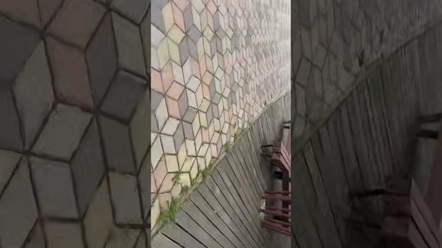 Река в чаще леса