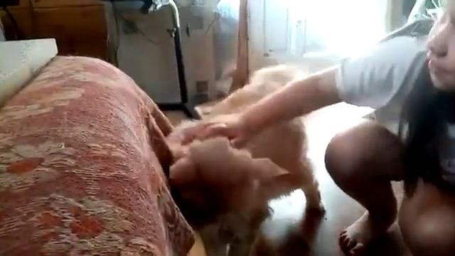 Колбасоня охотится за Каспером