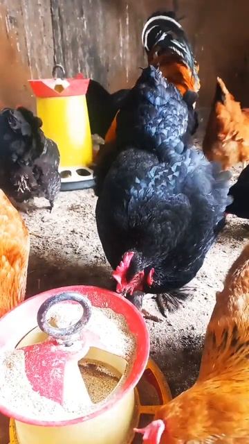 сейчас это семья которую я созд