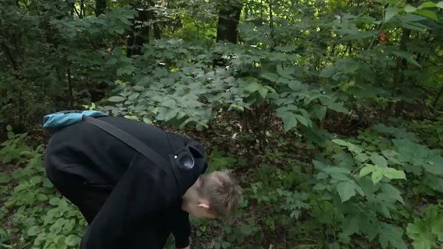 В Ивантеевке продолжается сезон летних трудовых бригад