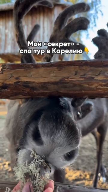 Ты не ленивая. Ты просто устала. Сильно устала