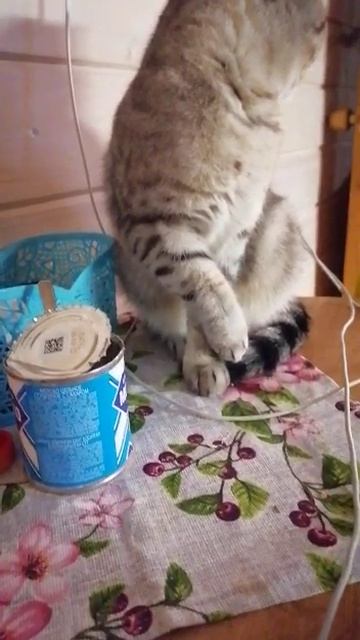 Мила кушает)