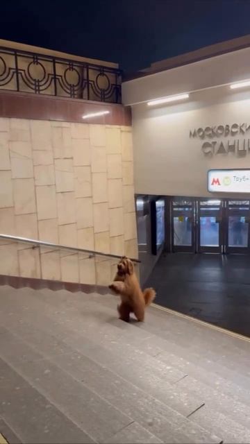 Каждое утро в нашем заведении начинается одинаково. Это уже обычай. Традиция. Я бы сказал - ритуал.