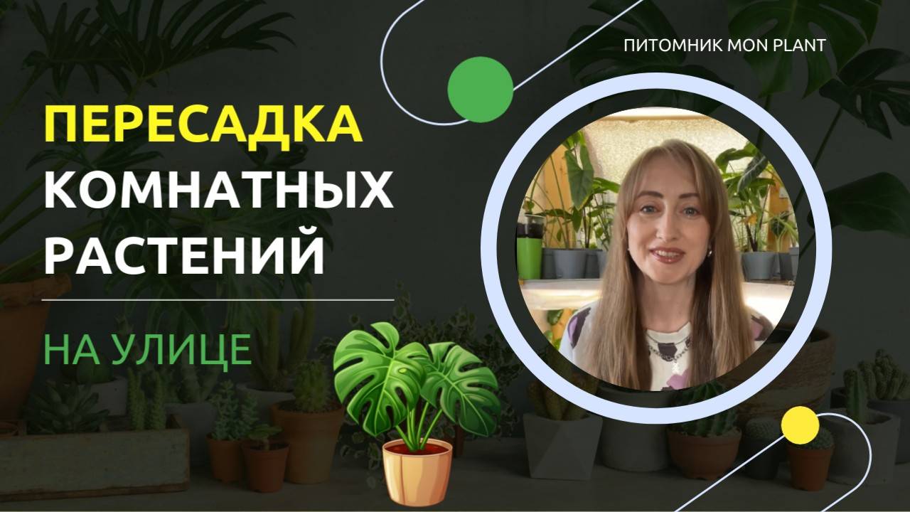 Пересаживаем растения на улице: выездной уход за растениями у подписчицы