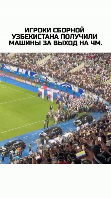 игроки сборной Узбекистана