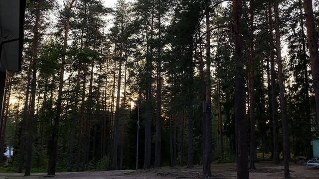 Летние вспоминания…