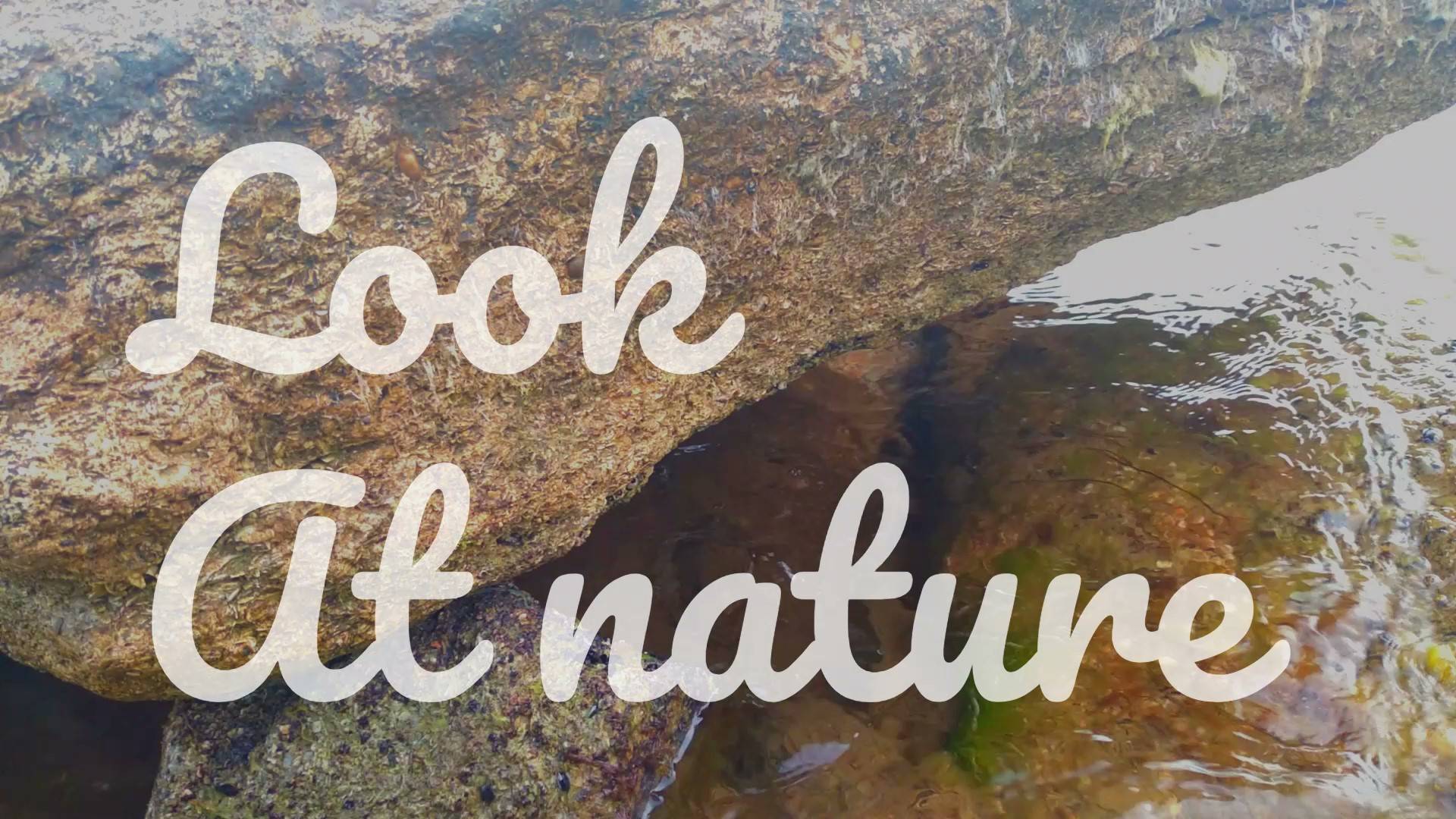 Look at nature