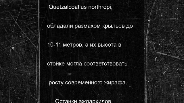Останки нового вида птерозавров обнаружены японскими учеными