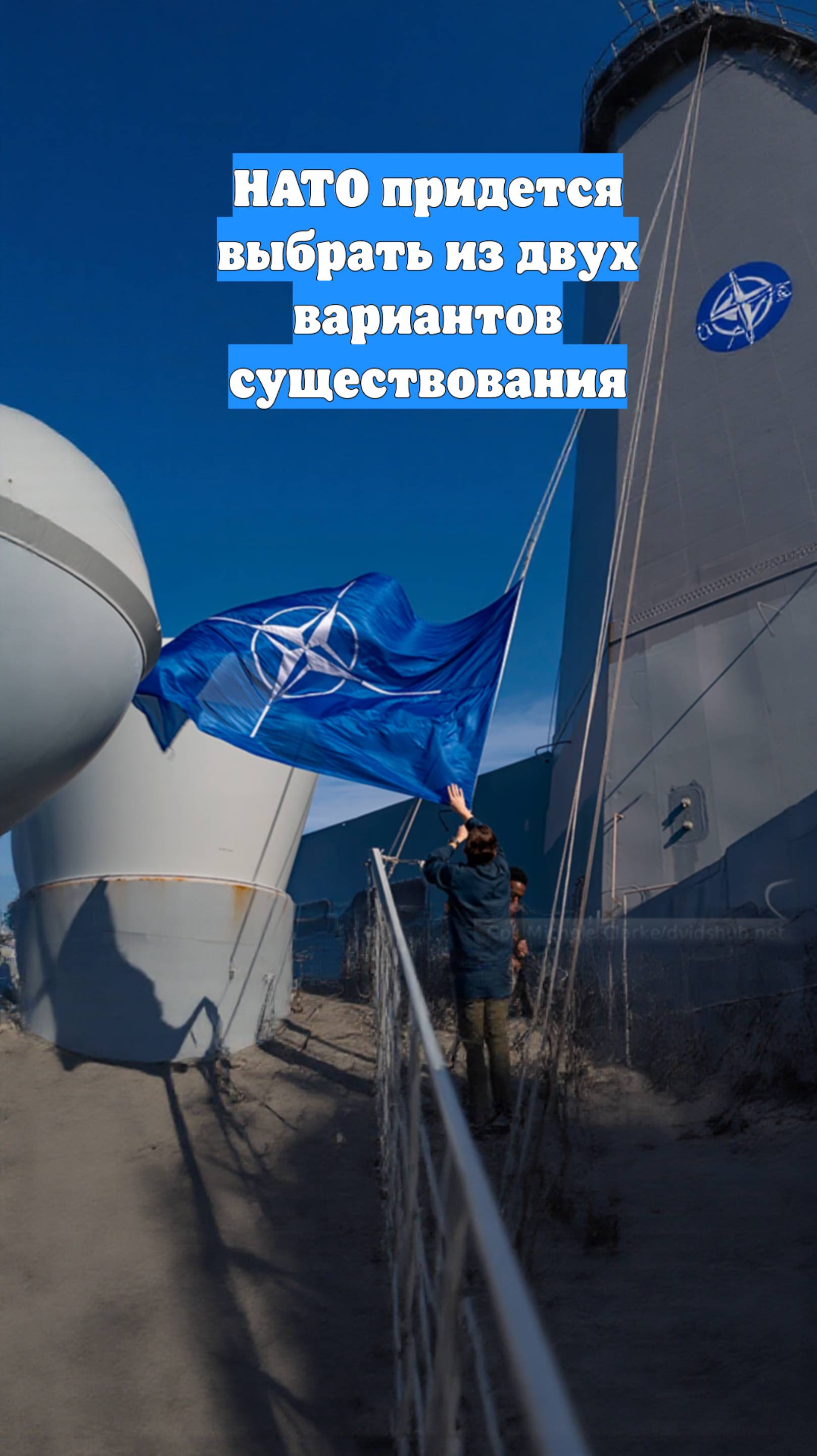 НАТО придется выбрать из двух вариантов существования