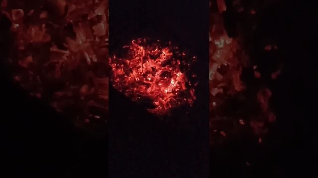 Теплое видео