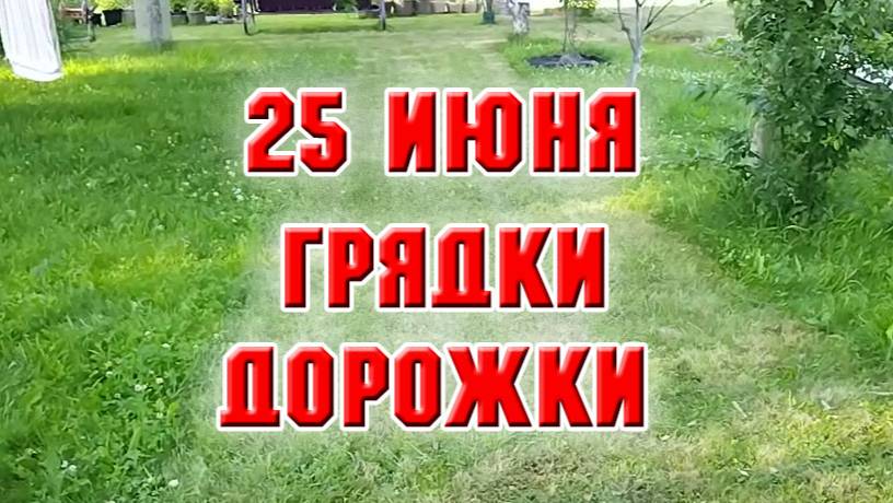 25 июня. Грядки, дорожки