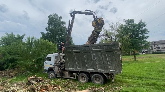 Утилизация порубочных остатков после спила тополей в городе Мга