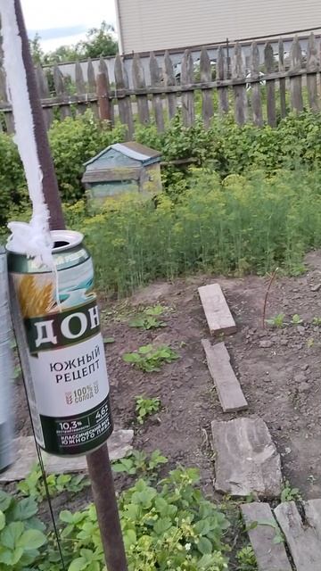 Постукалочка от крота. Уползёт?)