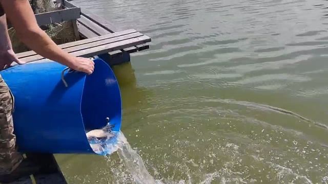 1000031139.mp4