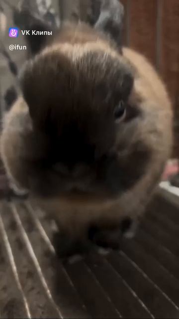1000029247.mp4