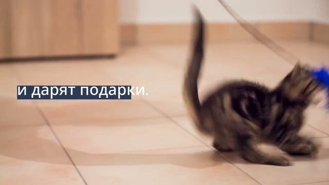 Untitled_video