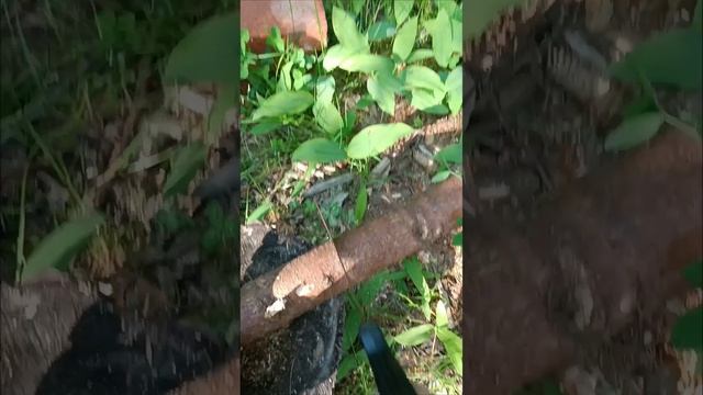 Растроена##еще не живём на даче#течет крыша#