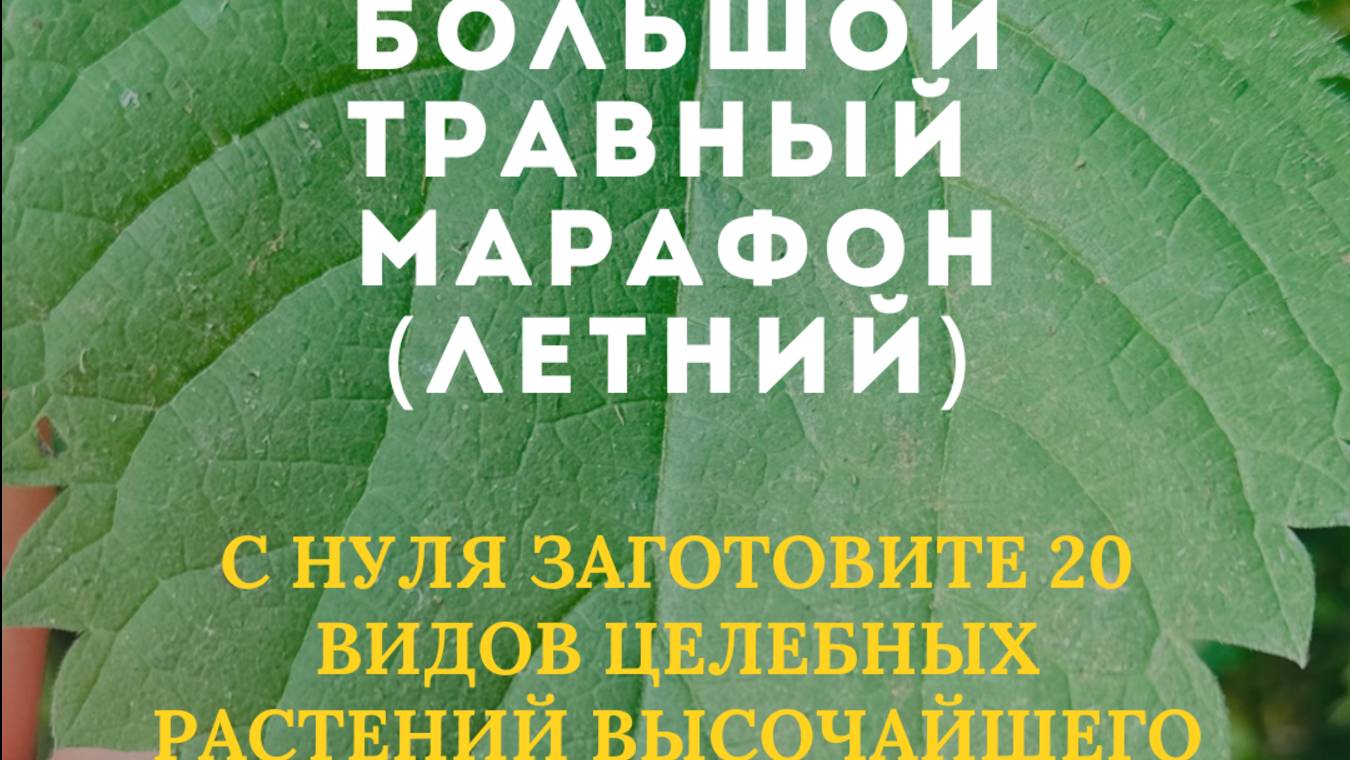 Большой травный марафон (летний)