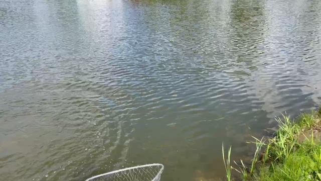 1000090949.mp4