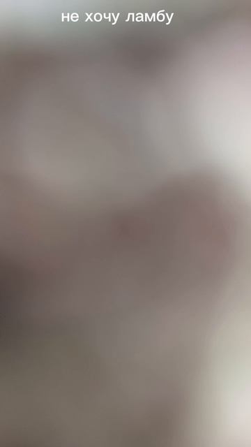 1000033979.mp4
