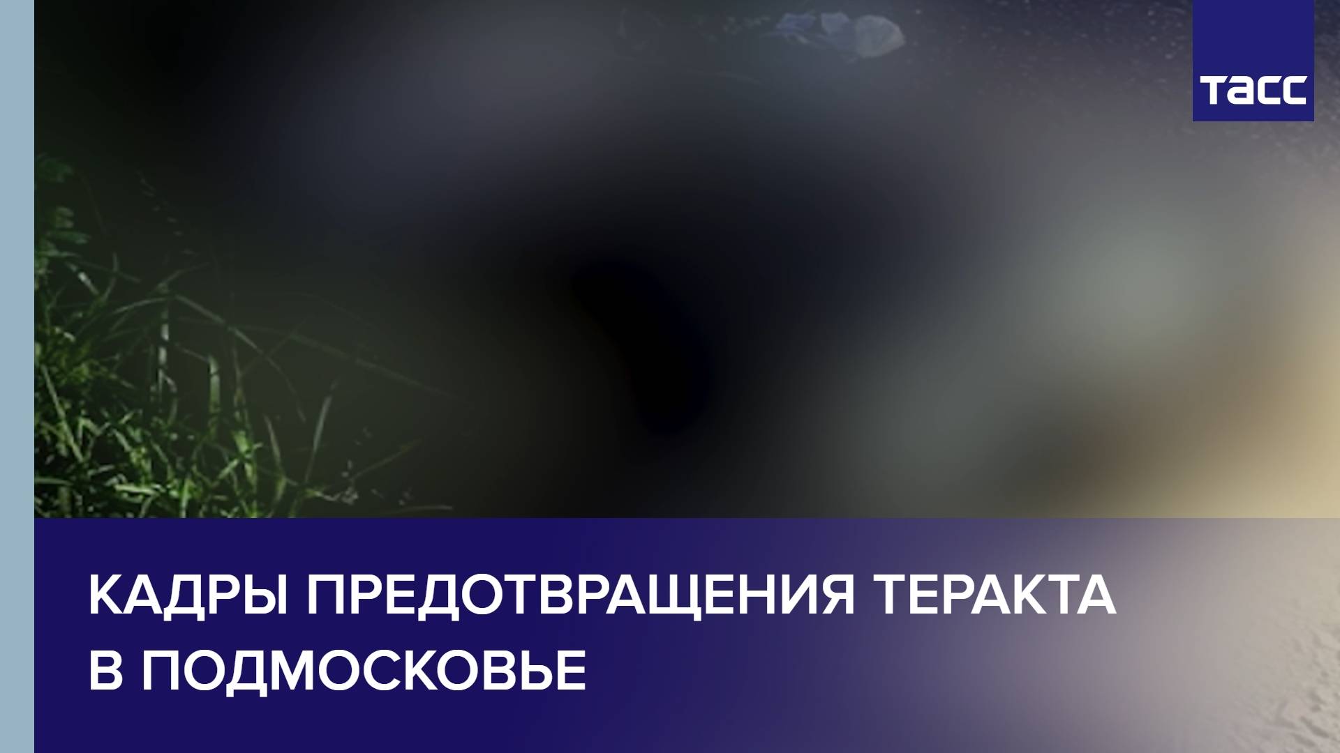 Кадры предотвращения теракта в Подмосковье