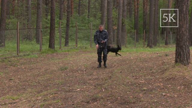 Криминалист, кинолог, сотрудник ГИБДД — сегодня в детском оздоровительном лагере «Огонек»