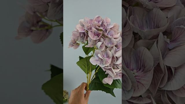 Букет гортензии Стелла