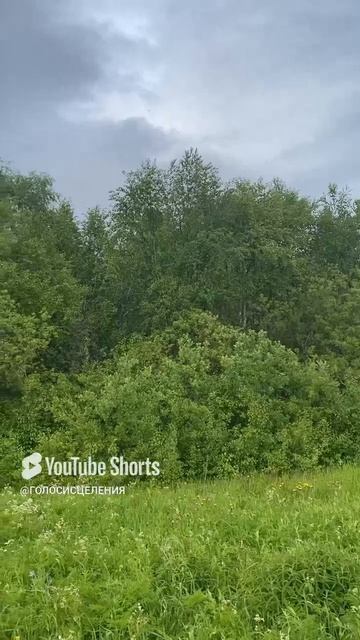 ВЕРА ЗНАЕТ#shorts