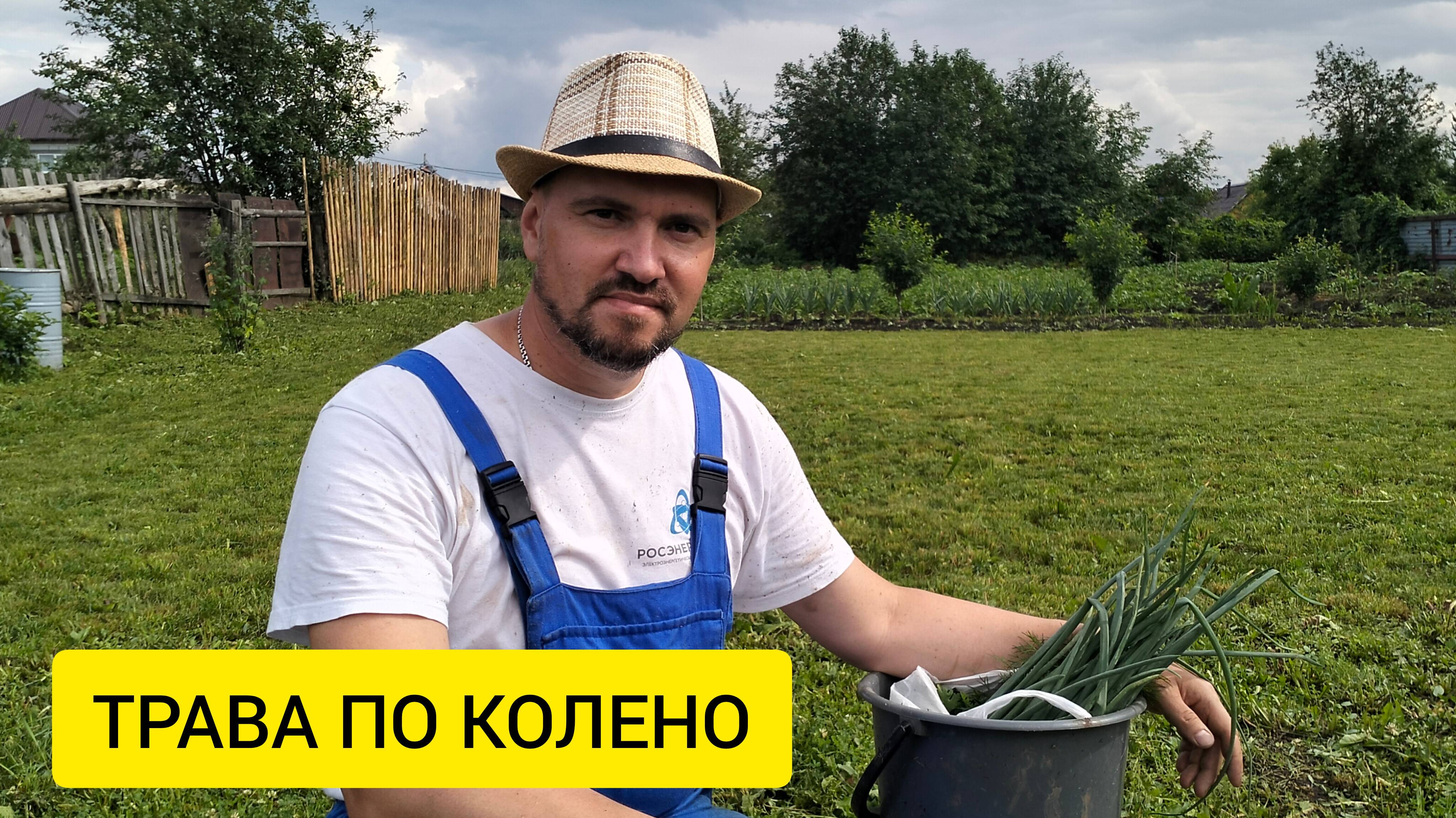 ОГОРОД ЗАРОС, СОБИРАЕМ ПЕРВУЮ ЯГОДУ / Деревенька на Урале / Выпуск 61