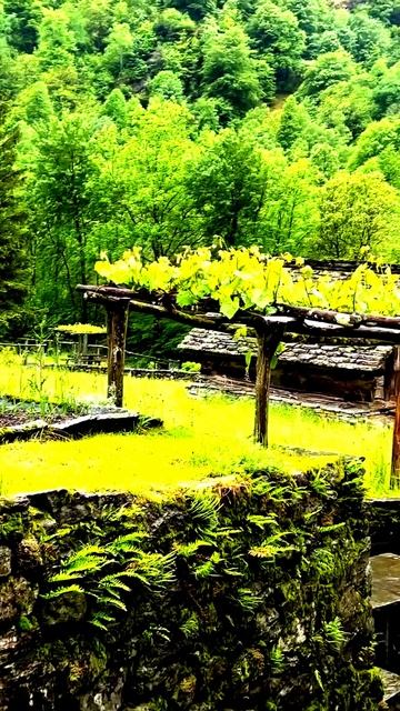 Это просто совпадение?