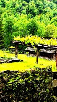 Это просто совпадение?