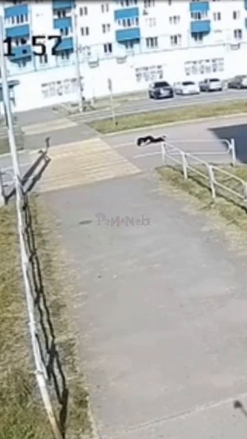 не поднимайте сбитого человека