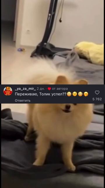 Толик, собирайся