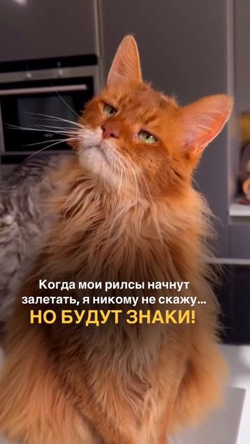 ЗНАКИ☝️