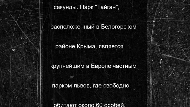 Стало известно, что будет со львом, напавшем на владельца сафари-парка "Тайган"
