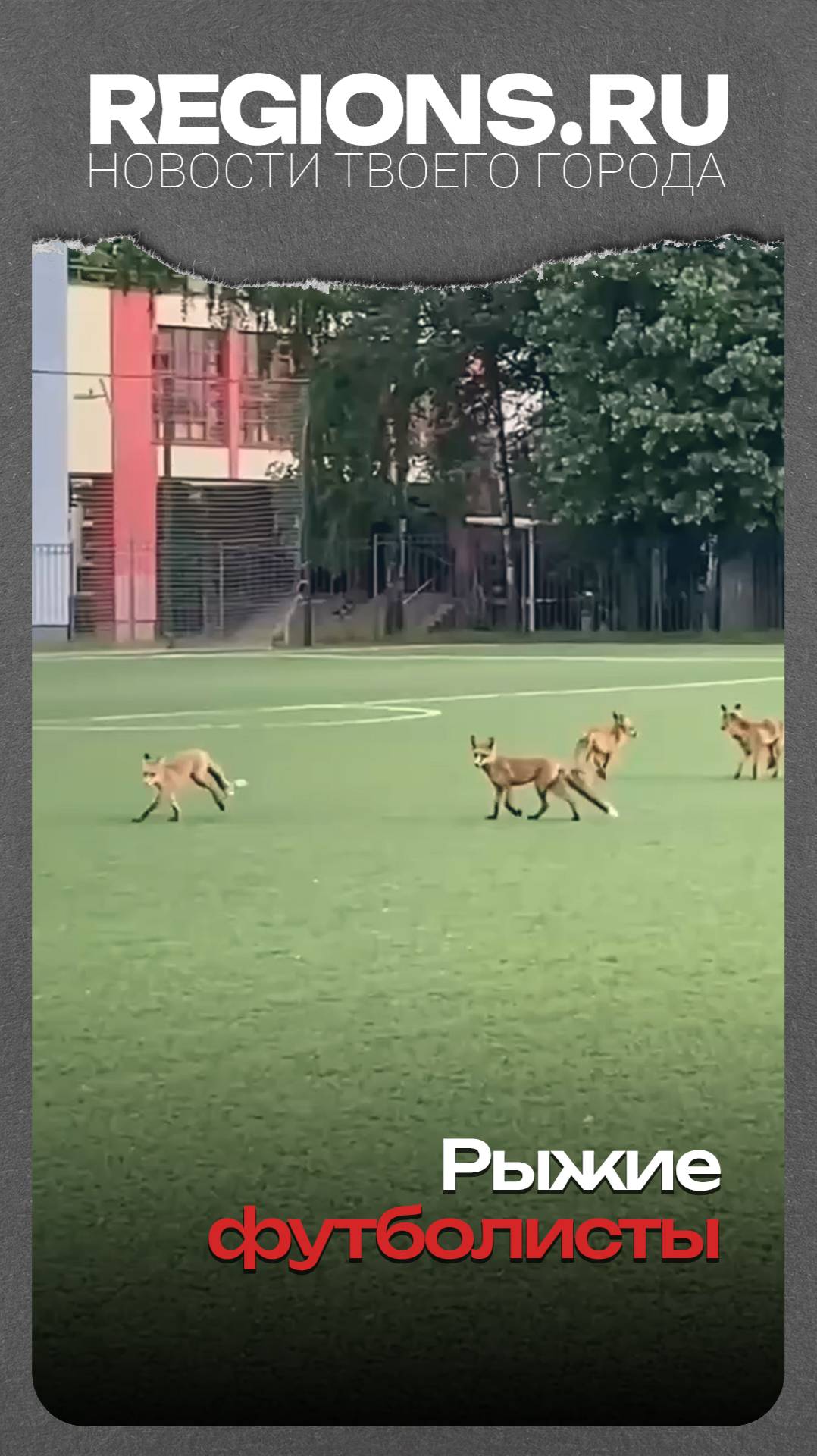 Рыжие футболисты
