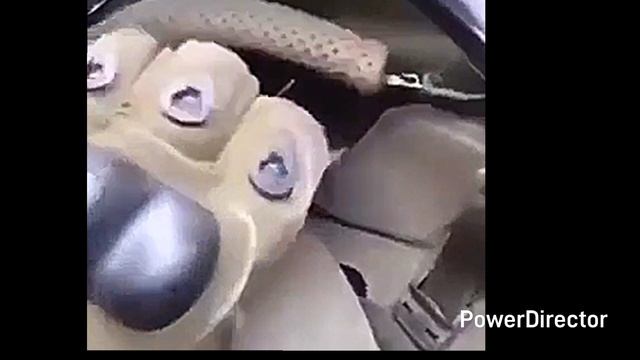 ТОЛЬКО ГОСПОДЬ!