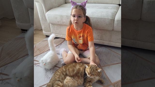 Исповедь кота