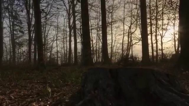 Поэт Василий Такенов