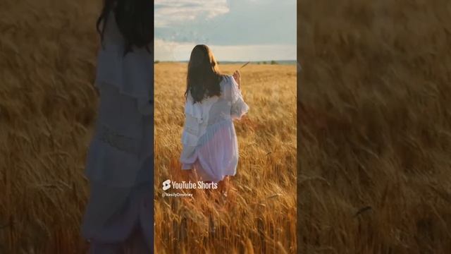 Любить без срока Автор песни и стихов Василий Дмитриев #песнядлядуши  #lпесняолюбви #песня #shorts