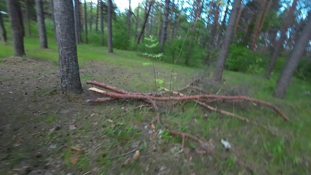 Часть 1.  Поход с детьми на берегу речки  Киржач. Разбивка лагеря, заготовка дров. Выживание в лесу.
