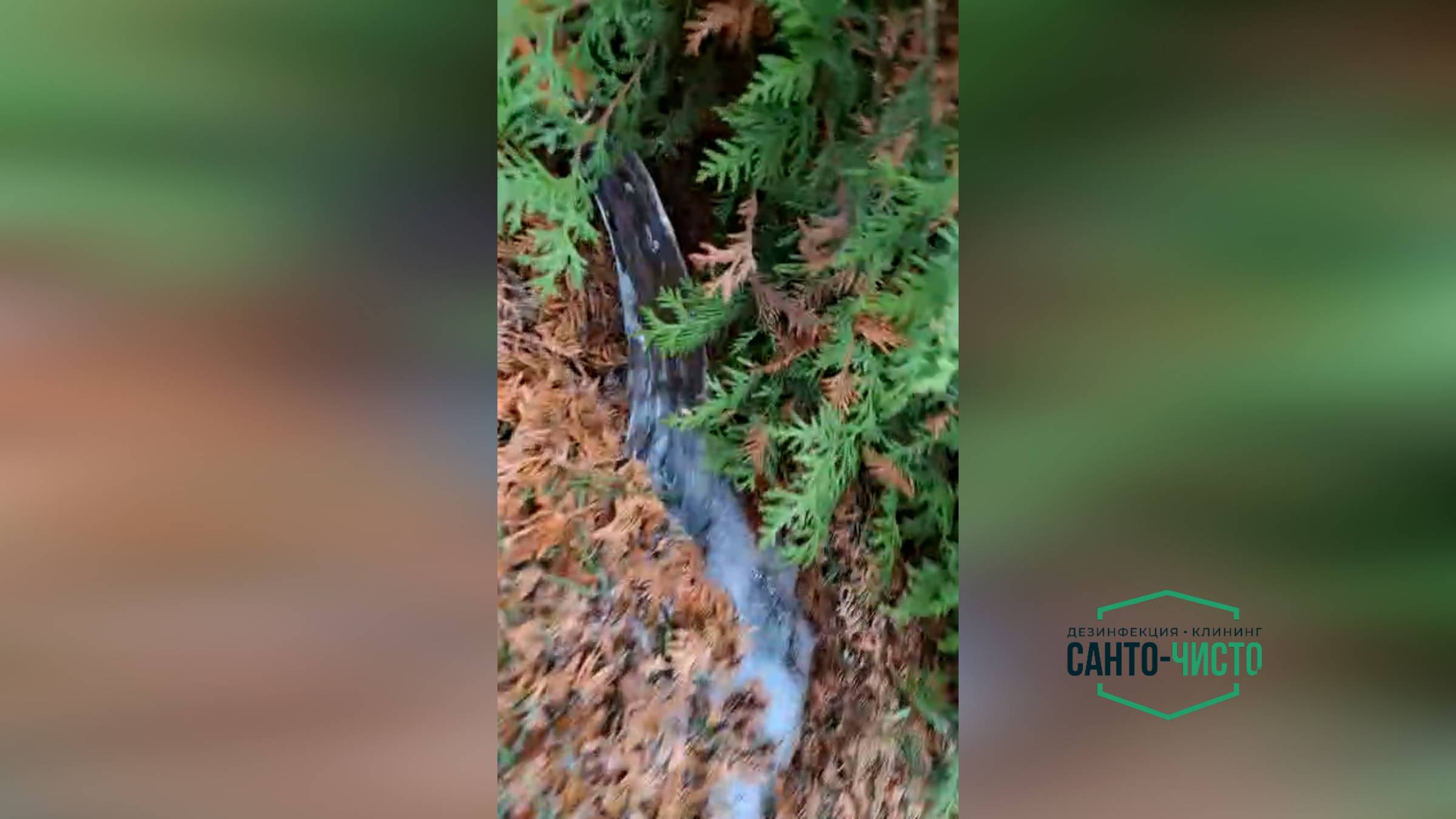 Откачка воды из подвала