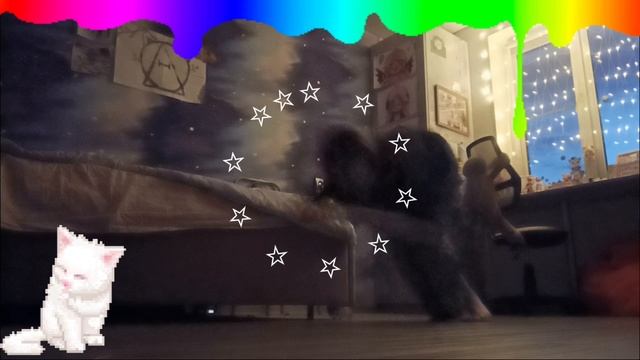 Первое видео :3