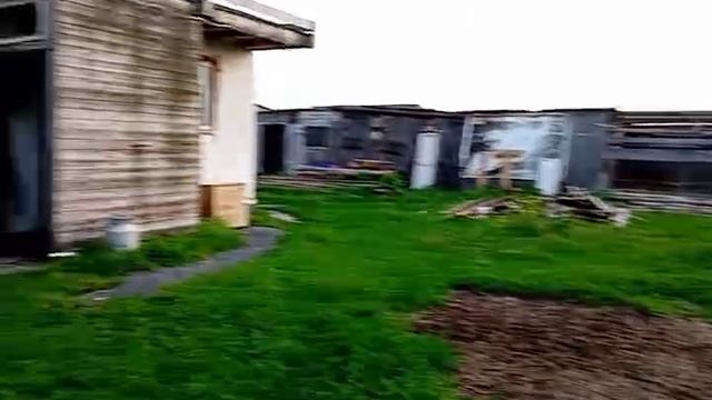 VID-20250625-WA0008.mp4