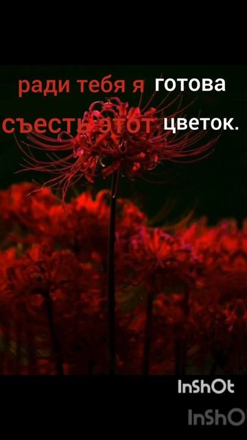бригаду?