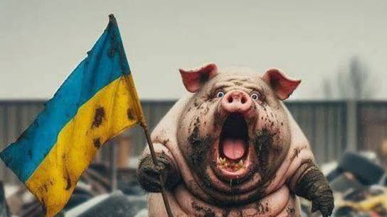 Стрим  из Центра по сумеркам