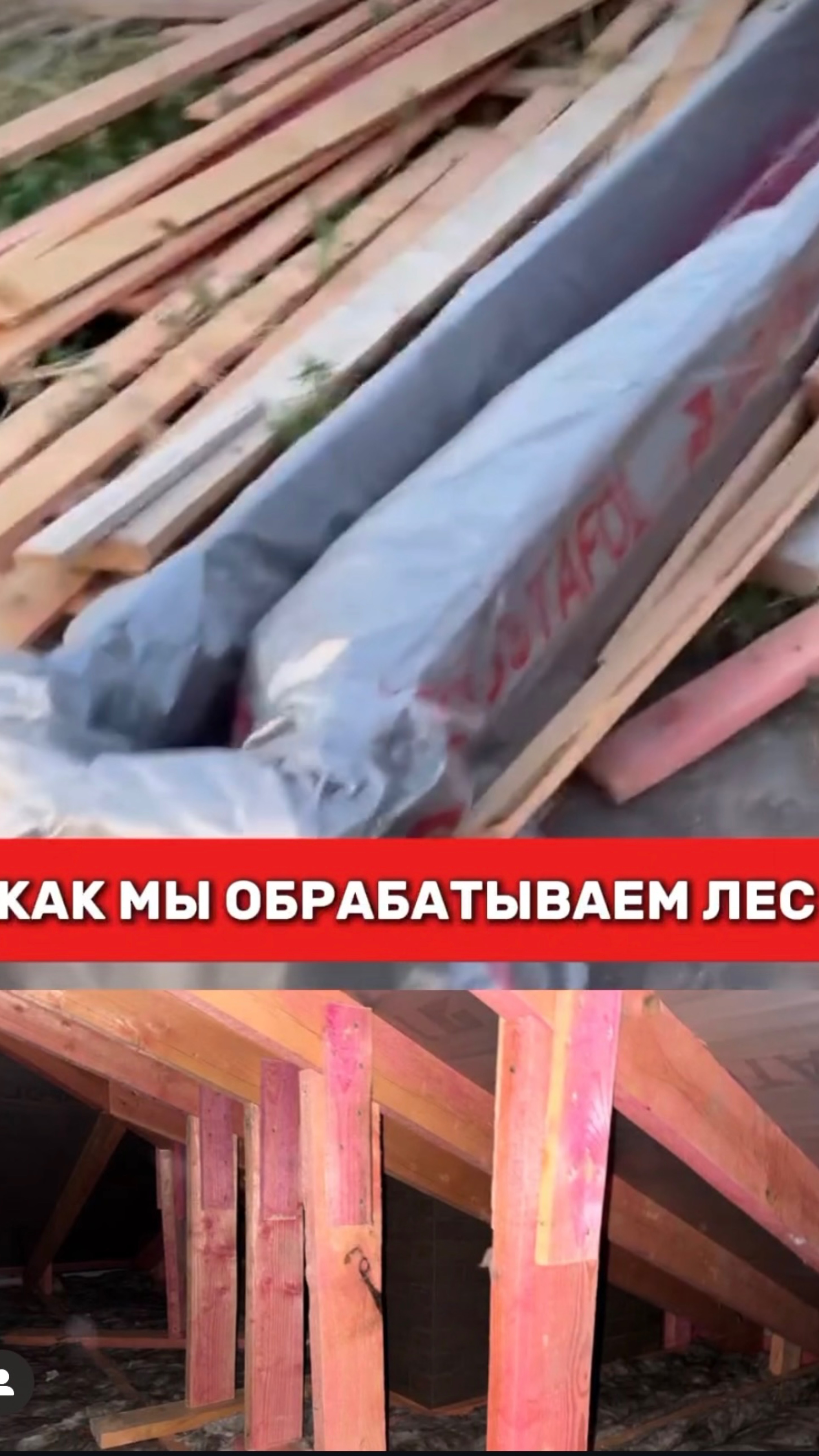 Как мы обрабатываем лес?