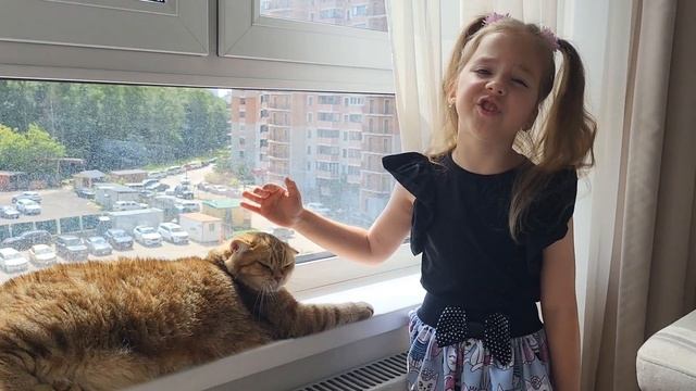 Исповедь кота